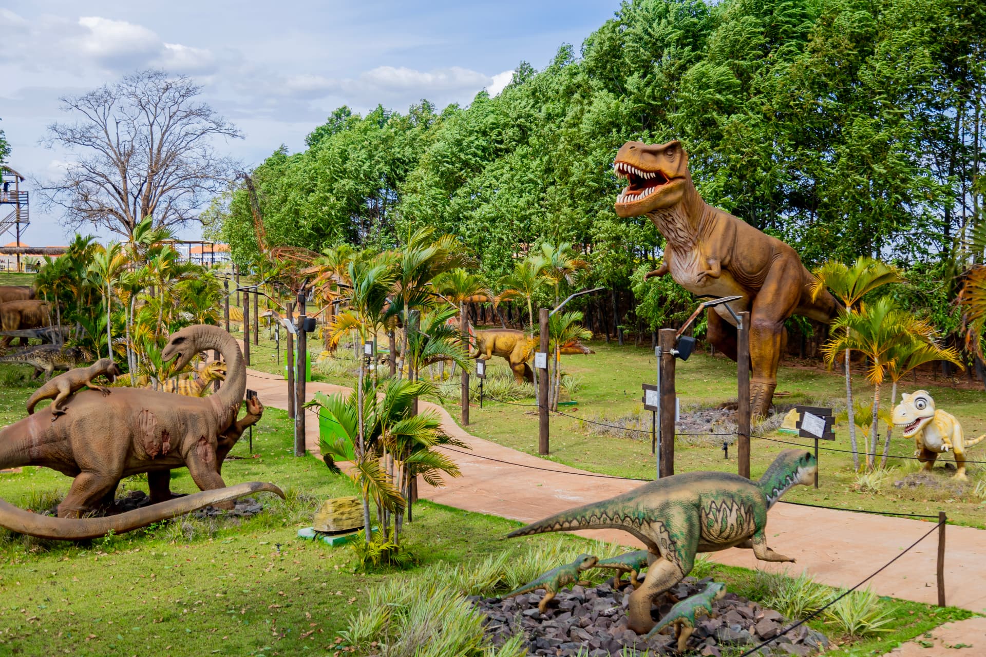Foto real do parque: Park dos Dinossauros
